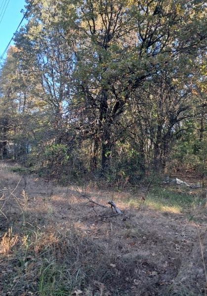 Sell Your Land in Texas Sell my land in grayson county